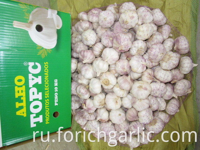 Normal White Garlic